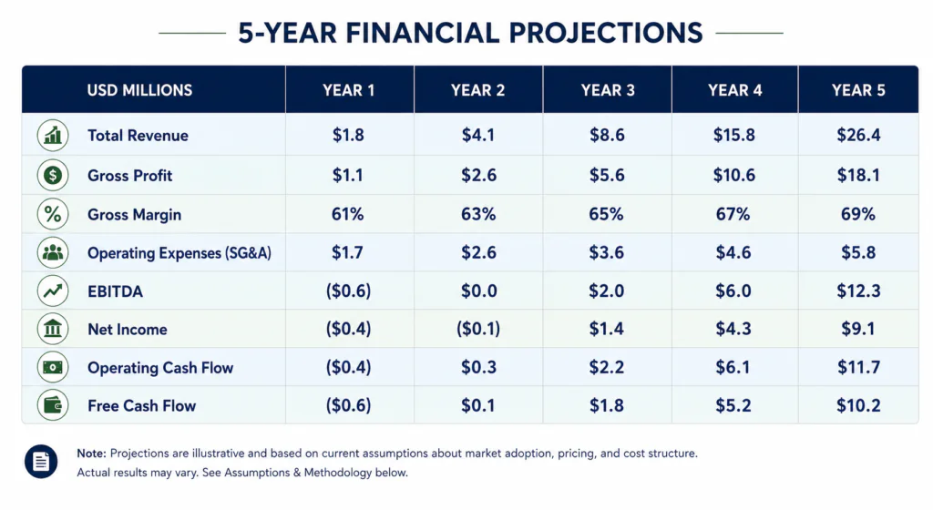 5 Year Financial Projections